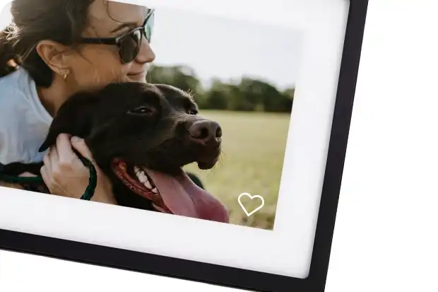 A picture of a dog owner hugging their dog on the skylight frame